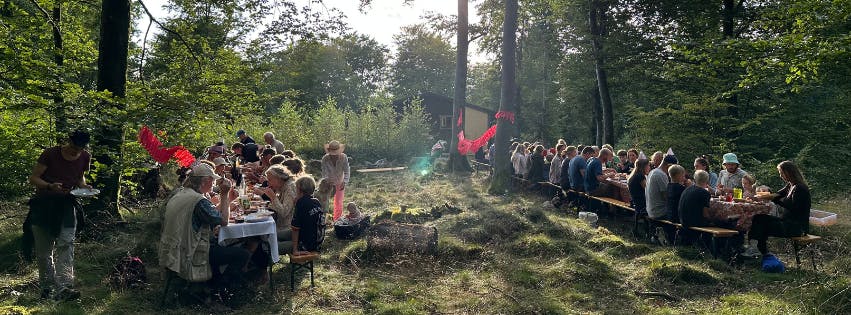 almern banner.png almern banner.png