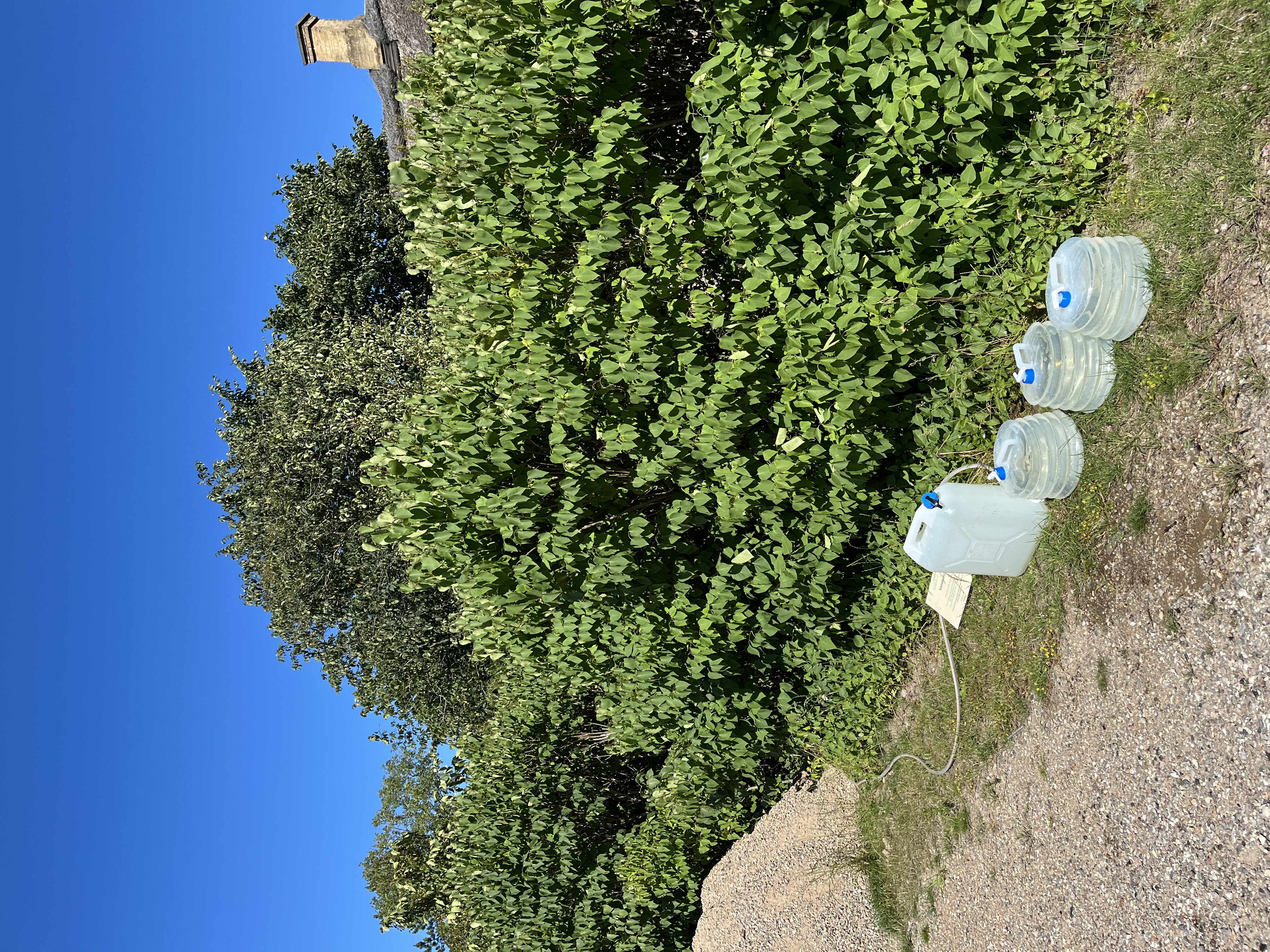 IMG_6686.jpeg IMG_6686.jpeg