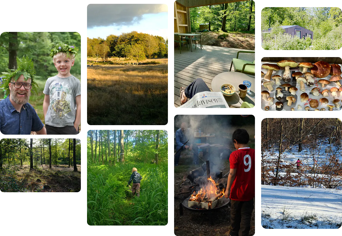 Collage Gammalstorp.png Collage Gammalstorp.png