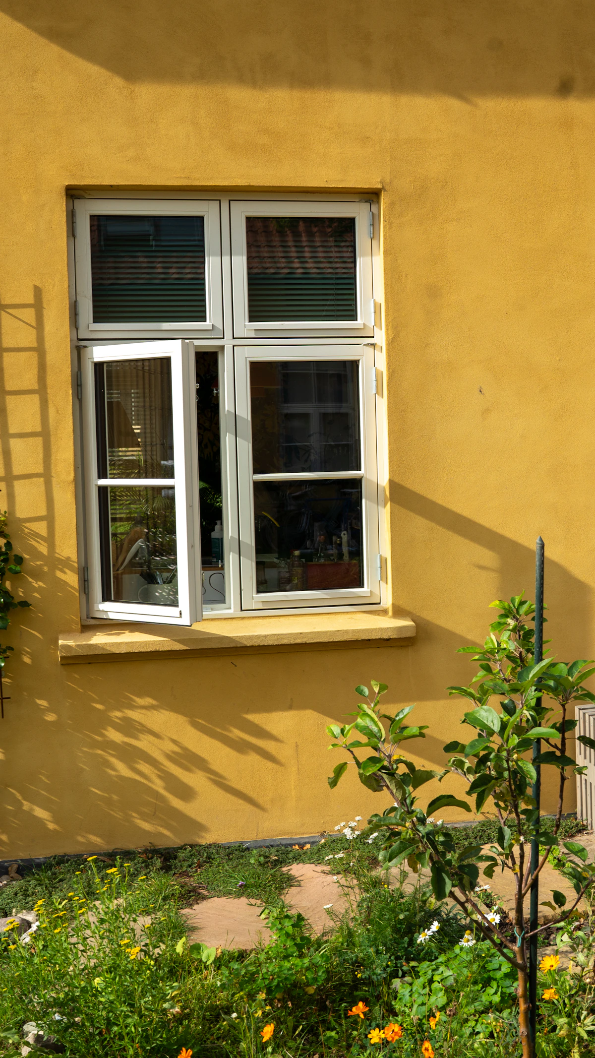 DSC04306.jpg