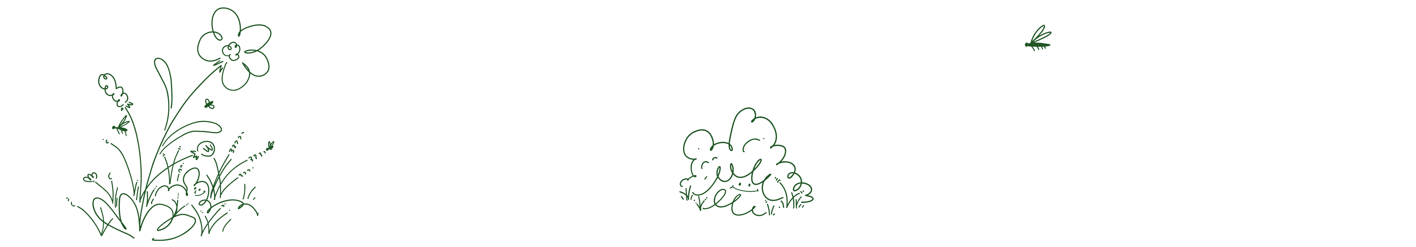 Frame 44.png Frame 44.png