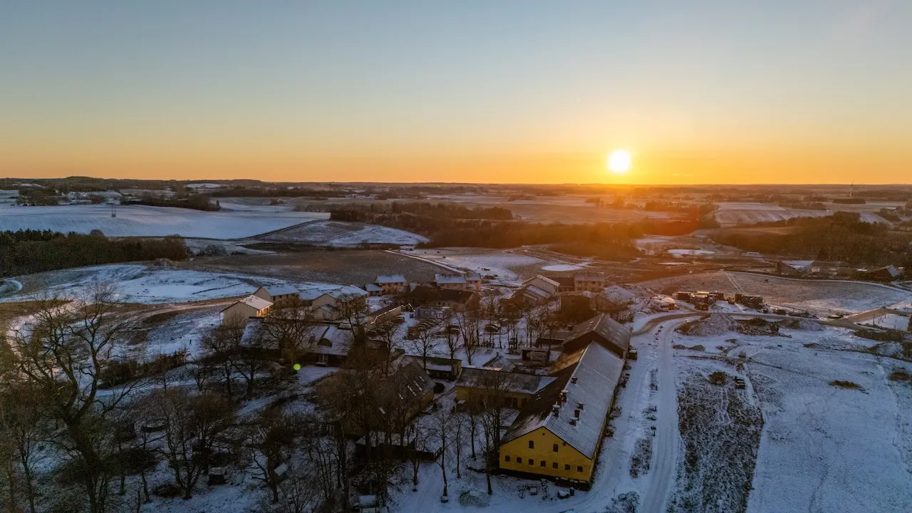DJI_20250216171309_0183_D Mulden Jan 2025 Halfter.jpg DJI_20250216171309_0183_D Mulden Jan 2025 Halfter.jpg
