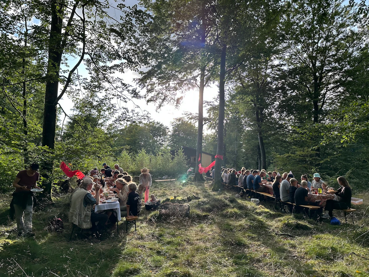69495660b64e592adb472b75_Almenr 2023_Gammalstorp_Krebsegilde_3.jpg